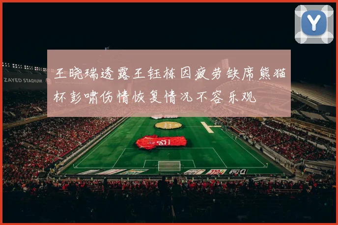 王晓瑞透露王钰栋因疲劳缺席熊猫杯彭啸伤情恢复情况不容乐观